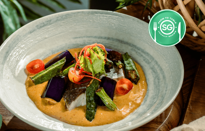 (Farm-to-Table) Roots & Shoots Buffet Menu B