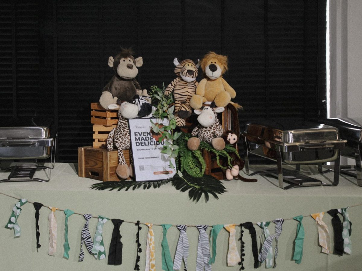 Wild-Safari-Theme-3